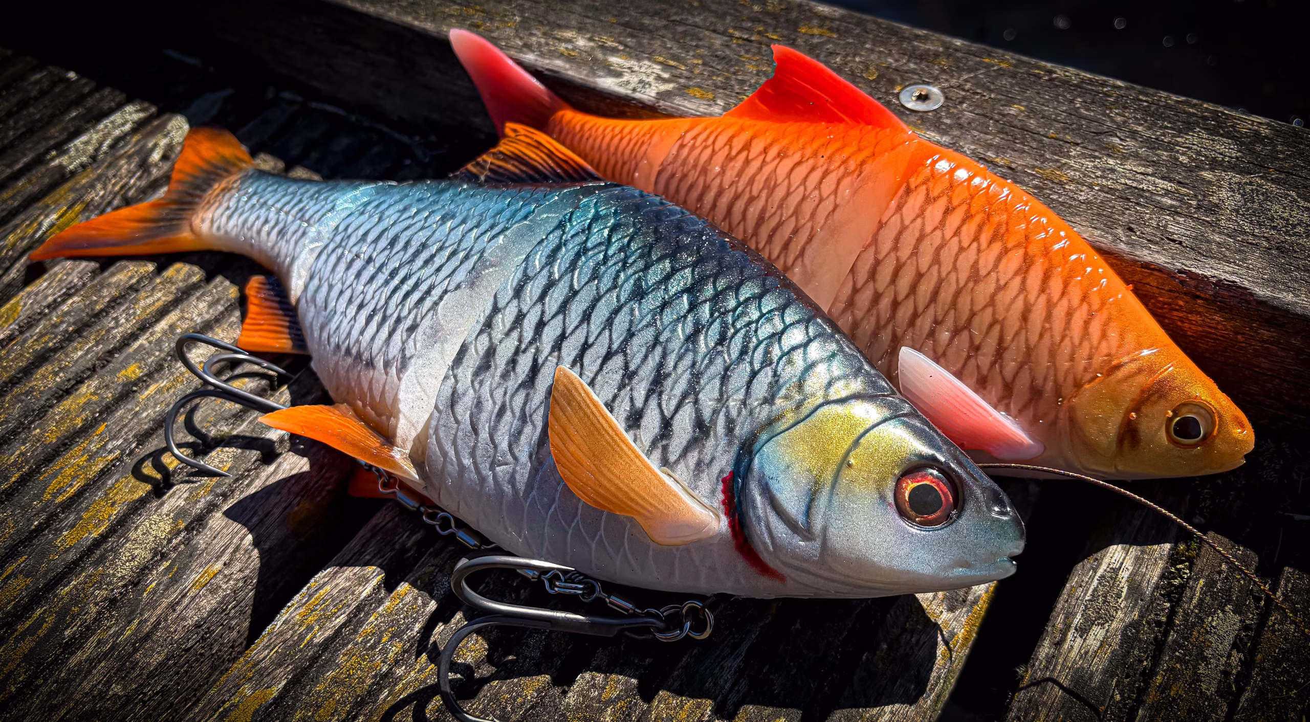 line thru roach savage gear with bkk hooks