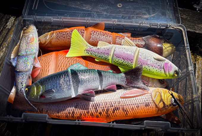 savage gear line thru baits in a box